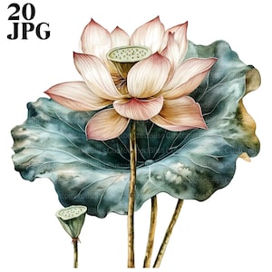 20 Clipart di fiori di loto, Clipart di loto, Clipart floreali, JPG di alta qualità, Clipart di acquerelli, Junk Journal, Download digitale, Artigianato di carta