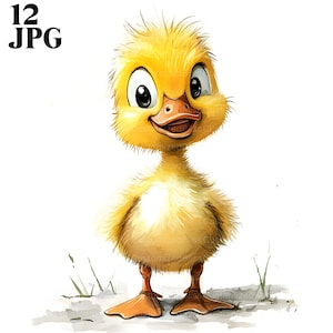 12 Funny Duck Clipart, Watercolor Duck, Cute Duck, High Quality JPG, Watercolor Clipart, Junk Journal, Digital Download, Paper Craft, Quirky