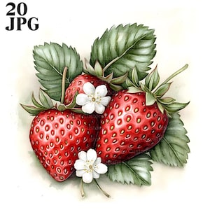 20 cliparts fraise, fruits, fraise pépinière, clipart baies, haute qualité JPG, clipart aquarelle, Junk Journal en téléchargement numérique