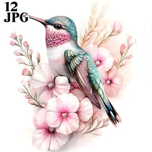 12 colibríes sobre flores, imágenes prediseñadas de colibrí, archivos JPG de alta calidad, imágenes prediseñadas de acuarela, diario basura, descarga digital, manualidades de papel