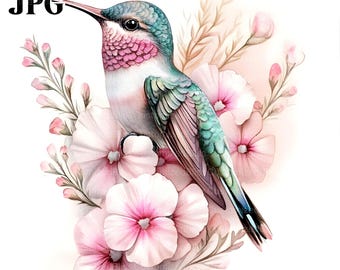 12 Hummingbirds On Flowers Clipart, Hummingbird Clipart, High Quality JPGs, Watercolor Clipart, Junk Journal, Digital Download, Paper Craft