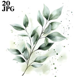 20 foglie verdi rami clipart, foglia botanica, verde, JPG di alta qualità, clipart acquerello, diario spazzatura, download digitale di carta artigianale