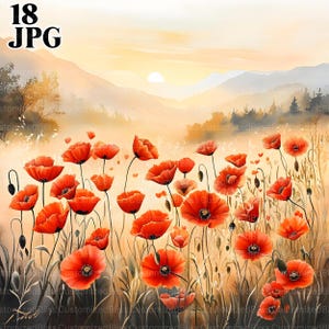 18 Mohnfeld Clipart, Mohnblume Clipart, Wildblumen Clipart, Blumen Clipart, hochwertige JPGs, Junk Journal, digitaler Download, Basteln