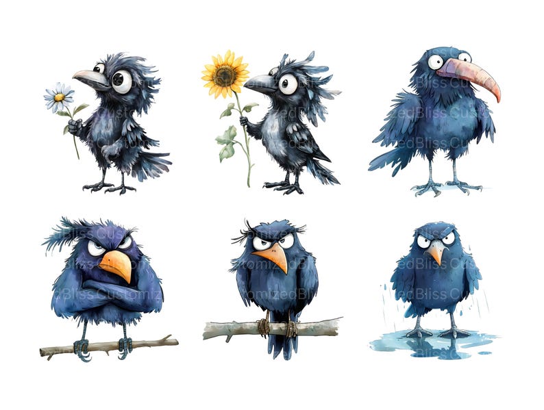 May include: Six cartoon crows with different expressions. One crow holds a sunflower, one holds a daisy, one is looking at the viewer, one is frowning, one is looking away, and one is looking at the viewer with a surprised expression.