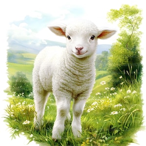 May include: A white lamb with fluffy fur stands in a field of green grass and white flowers. The lamb is looking at the camera with a sweet expression.