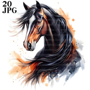 20 cliparts cheval arabe, clipart équin, art amateur de chevaux, décoration équine, téléchargement numérique, Junk Journal, clipart aquarelle, clipart, JPG