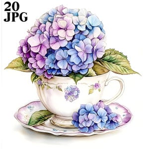 20 Clipart de hortênsia em xícara de chá, xícara de chá floral, clipart de hortênsia, hortênsia em aquarela, xícara de chá vintage, download digital de diário de lixo JPG