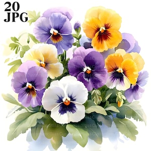 20 Stiefmütterchen Clipart, Stiefmütterchen Blumen Clipart, hochwertige JPGs, Aquarell Clipart, Junk Journal, digitaler Download, Papierwesen, Printable