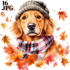Könnte beinhalten: Aquarell-Illustration eines Golden Retrievers mit grauer Strickmütze und Schottenkaro-Schal. Der Hund ist von Herbstblättern in Orange-, Rot- und Gelbtönen umgeben. Das Bild hat den Text "16 JPG" in der oberen linken Ecke.