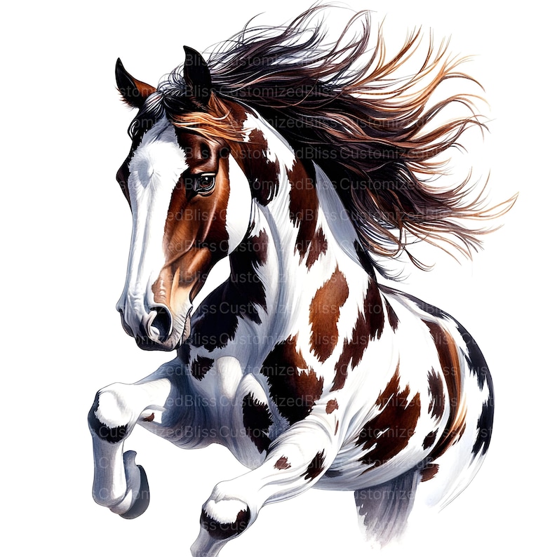 May include: A white and brown paint horse with a long flowing mane and tail. The horse is running with its head held high and its legs extended.