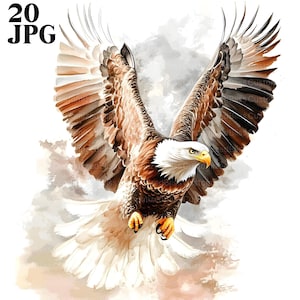 20 Eagle Clipart, Bald Eagle Clipart, Eagle Images, High Quality JPGs, Watercolor Clipart, Junk Journal, Digital Download, Paper Craft