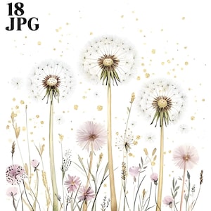 18 Dandelion Clipart, Botanical Dandelions, Wildflowers Clipart, Watercolor Clipart, Junk Journal, Digital Download, Paper Craft, JPG