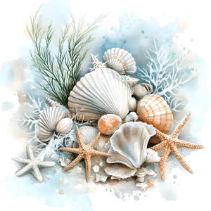 Op de afbeelding: Een aquarel schilderij van een verzameling schelpen en zeesterren op een blauwe en witte achtergrond. De schelpen zijn in verschillende vormen en maten, en sommige zijn open om het parelmoerachtige interieur te onthullen. De zeesterren zijn lichtbruin van kleur en hebben vijf punten.