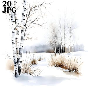 20 Clipart paysage forestier d'hiver, paysage d'hiver, forêt des cliparts, bouleau, arbre à feuilles persistantes, des cliparts hiver, téléchargement numérique, JPG