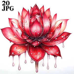 20 Clipart di loto primaverile, Clipart di fiori di loto, Acquerelli di loto, JPG di alta qualità, Clipart di acquerelli, Diario spazzatura, Download digitale artigianale