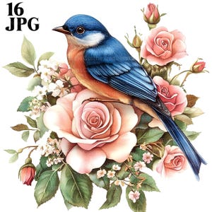 16 Bluebird Clipart, Vogel Clipart, Aquarell Vogel, hochwertige JPGs, Aquarell Clipart, Junk Journal, Digital Download, Papiermodelle
