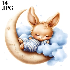 14 Schlafen Häschen Clipart, Mond und Sterne schlafen, Clipart schlafend, Kinderzimmer Clipart, hohe Qualität JPGs, Junk Journal, digitaler Download, Papier Handwerk