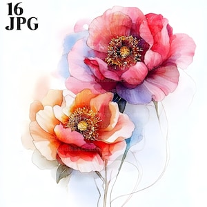 16 clipart de flores abstratas, flores secas, flores boho, JPGs de alta qualidade, clipart de aquarela, diário de lixo, download digital, artesanato em papel