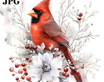 20 Red Cardinal Clipart, Cute Bird Clipart, Cute Bird Nursery Clipart, High Quality JPGs, Watercolor Clipart, Junk Journal, Digital Download