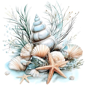 Op de afbeelding: Een aquarel schilderij van schelpen en een zeester op een witte achtergrond. De schelpen zijn in verschillende tinten blauw, wit en bruin. De zeester is oranje en heeft vijf punten.