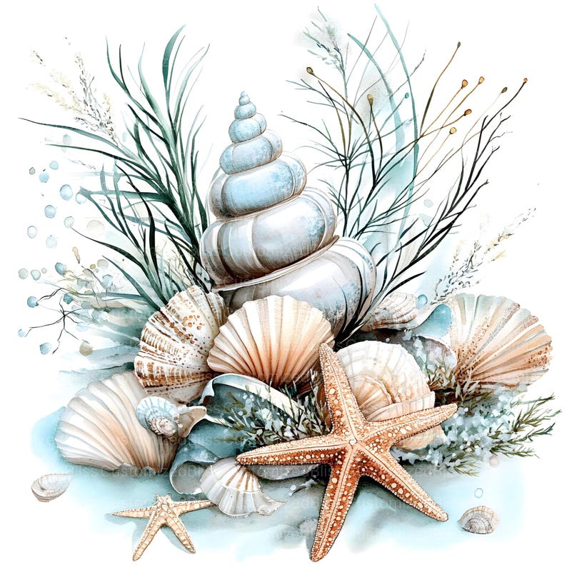 Op de afbeelding: Een aquarel schilderij van schelpen en een zeester op een witte achtergrond. De schelpen zijn in verschillende tinten blauw, wit en bruin. De zeester is oranje en heeft vijf punten.