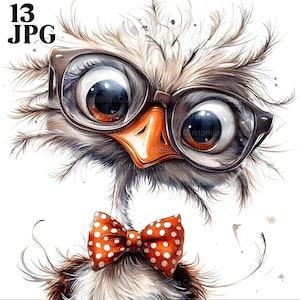13 Clipart di struzzo, struzzo eccentrico, clipart di uccello, clipart di animali, clipart di papillon, JPG di alta qualità, diario spazzatura, download digitale, artigianato