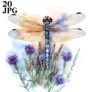 20 Dragonfly Clipart, Dragonfly Images, Insects Clipart, High Quality JPGs, Watercolor Clipart, Junk Journal, Digital Download, Paper Craft