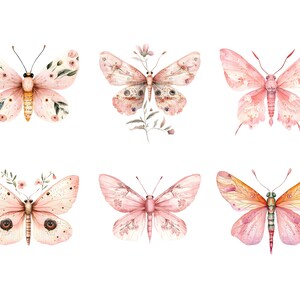 Floral Insect in Pink Clipart Bundle, 30 High Quality PNG, Craft Art ...