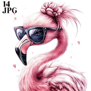 Flamingo Clipart, Engraçado Pássaro Clipart, Rosa Clipart, 14 JPGs de Alta Qualidade, Aquarela Clipart, Diário de Lixo, Download Digital, Papel Artesanal