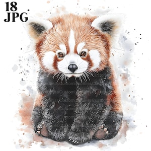 18 baby rode panda clipart, rode panda kwekerij, hoge kwaliteit jpg's, aquarel clipart, ongewenste dagboek, digitale download, Paper Craft, glinsterende clip art