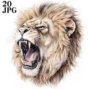 20 Roaring Lion Clipart, Lion Images, Animal Clipart, Safari Animal, High Quality JPGs, Watercolor Clipart, Junk Journal, Digital Download