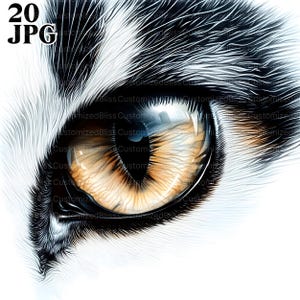20 Clipart oeil de chat, clipart chat, clipart félin, amoureux des chats, clipart Animal, clipart chaton, Junk Journal, téléchargement numérique, Clip Art, JPG