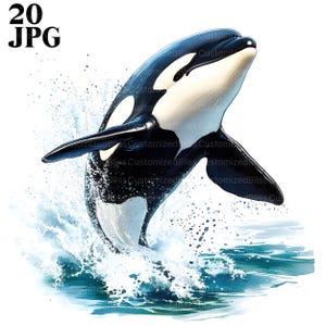 20 Schwertwal Clipart, Orca Clipart, Schwertwal, Marine Clipart, Nautisches Design, Ocean Clipart, Junk Journal, digitaler Download, JPG