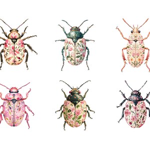 Pode incluir: Seis ilustra&ccedil;&otilde;es de aquarela de besouros com padr&otilde;es florais. Os besouros s&atilde;o de v&aacute;rias cores, incluindo rosa, verde e preto. Os padr&otilde;es florais s&atilde;o delicados e intrincados.