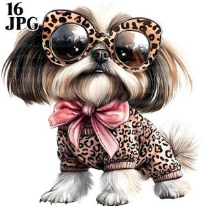 shih tzu with bow tie