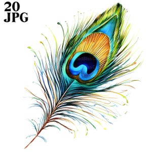 20 Peacock Feather Clipart, Peacock Clipart, Peacock Image, High Quality JPG, Watercolor Clipart, Junk Journal, Digital Download Paper Craft