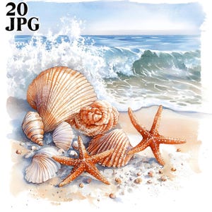 20 Sea Shells Clipart, Seashell Clipart, Ocean Clipart, High Quality JPGs, Watercolor Clipart, Junk Journal, Digital Download, Paper Craft