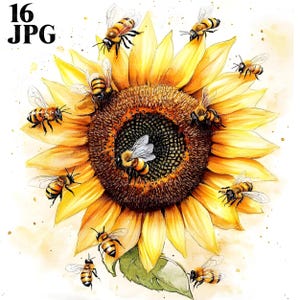 16 Bees In Flowers Clipart, Floral Bees Clipart, High Quality JPG, Watercolor Clipart, Junk Journal, Digital Download, Paper Craft, Clip Art