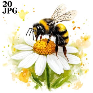 20 Bee On Flower Clipart, Floral Bee Clipart, High Quality JPGs, Watercolor Clipart, Junk Journal, Digital Download, Paper Craft, Printable