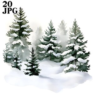 20 hiver forêt de pins Clipart, arbres à feuilles persistantes Nature paysage, clipart arbre, hiver des cliparts, JPG de haute qualité, téléchargement numérique, artisanat
