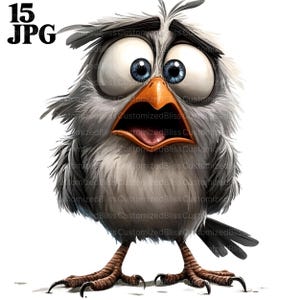 Paquete de 15 imágenes prediseñadas de pájaros divertidos y extravagantes, archivos JPG de alta calidad, dibujos animados de pájaros, animales tontos, creación de tarjetas, manualidades de papel, álbumes de recortes, arte infantil