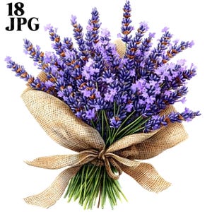 18 Clipart de buquê de lavanda, Clipart de lavanda, Clipart de flores, JPGs de alta qualidade, Clipart de aquarela, Diário de lixo, Download digital, Artesanato