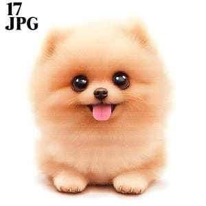 17 cliparts mignon chiot de Poméranie, chiens mignons, fichiers JPG de haute qualité, clipart aquarelle, journal indésirable, téléchargement numérique, créations en papier, imprimable