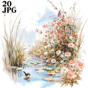20 clipart de pássaros e flores silvestres, clipart de pássaros em aquarela, JPGs de alta qualidade, clipart em aquarela, diário de lixo, download digital, artesanato em papel