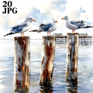 20 zeemeeuw clipart, meeuwen op pier berichten clipart, hoge kwaliteit JPG, aquarel clipart, ongewenste dagboek, digitale download, Paper Craft, glinsterende clip art