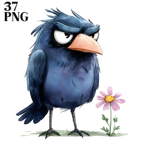 37 imágenes prediseñadas de cuervo loco, cuervo PNG, imágenes prediseñadas de pájaro divertido, pájaro PNG, descarga digital, imágenes prediseñadas de acuarela, licencia comercial, imágenes de flores