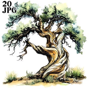 20 Clipart di querce mitiche, alberi ad acquerello, JPG di alta qualità, Clipart ad acquerello, diario di scarto, download digitale, lavoretti di carta, stampabili