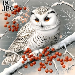 18 Hibou sur une branche enneigée Clip Art, Clipart hibou, Clipart neige, hiver Clipart, Chouette blanche, Clipart aquarelle, Junk Journal, téléchargement numérique