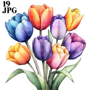 19 Spring Flowers Clipart, Tulips Clipart, Floral Clipart, High Quality JPG, Watercolor Clipart, Junk Journal, Digital Download, Paper Craft