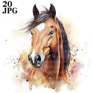 20 imágenes prediseñadas de caballos, imágenes de caballos, imágenes prediseñadas de animales lindos, imágenes prediseñadas ecuestres, JPG de alta calidad, imágenes prediseñadas de acuarela, diario basura, descarga digital